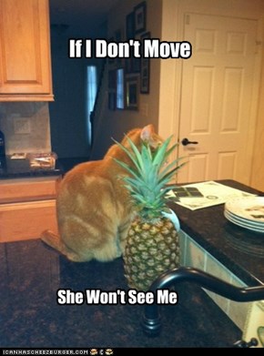 Pineapple Max