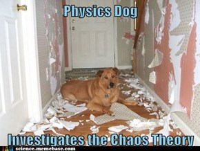 And guess who likes string theory?