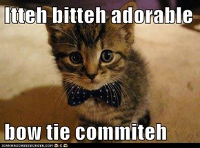 Itteh bitteh adorable  bow tie commiteh