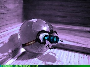 The Portal Pokeball