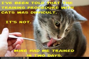 Cat Truisms - training