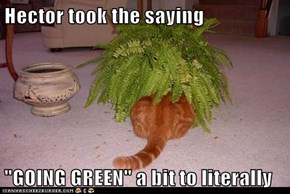 Hector took the saying  "GOING GREEN" a bit to literally