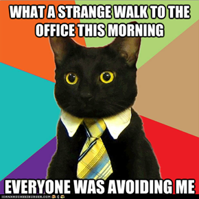 Friday the 13th is Not a Good Day for Business Cat