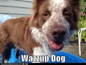 Wazzup Dog