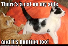 There's a cat on my side  and it's hunting too!