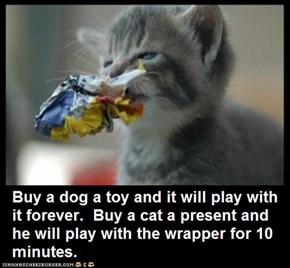 Cat Truisms - present