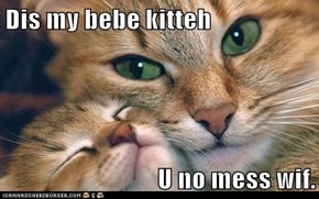 Dis my bebe kitteh  U no mess wif.