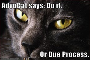 AdvoCat says: Do it.   Or Due Process.