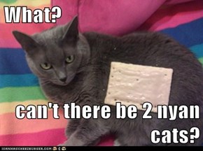 What?  can't there be 2 nyan cats?
