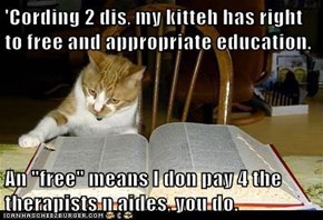 'Cording 2 dis, my kitteh has right to free and appropriate education.   An "free" means I don pay 4 the therapists n aides, you do.