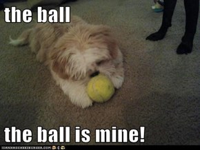 the ball   the ball is mine!