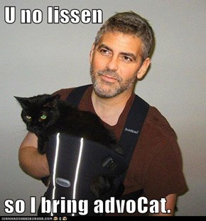 U no lissen  so I bring advoCat.