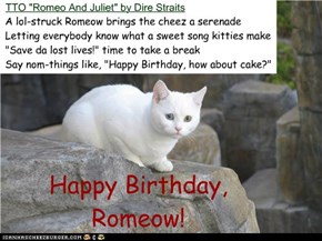 "Happy Birthday, Romeow!" (TTO "Romeo And Juliet" by Dire Straits)
