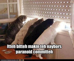 Lolcats: It's not paranoia if they are out to get you.