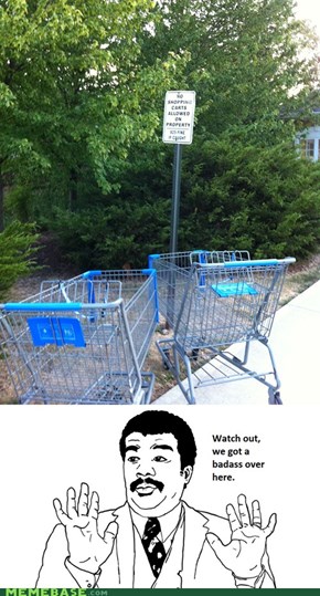 Those are Some Rebellious Carts.