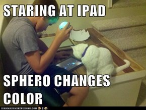 STARING AT IPAD  SPHERO CHANGES COLOR