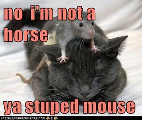 no  i'm not a horse   ya stuped mouse