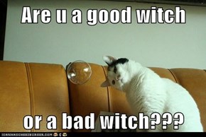 Are u a good witch  or a bad witch???