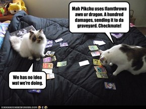 Pokemons iz to compilcatied fur locats.