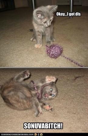 Somtiems you get teh yarn, sometiems the yarn gitz you