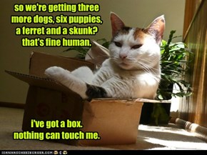 i've got a box. nothing can touch me.