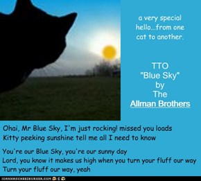 "Mr Blue Sky" (TTO "Blue Sky" by The Allman Brothers)