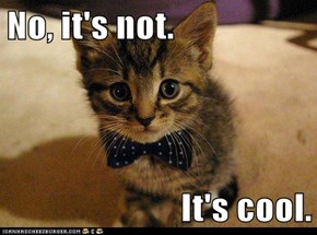 No, it's not.  It's cool.