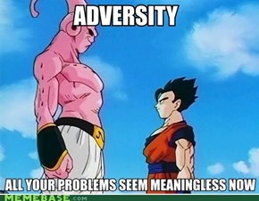 Adversity is merely a stimulus