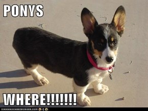 PONYS  WHERE!!!!!!!