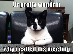 Ur prolly wundrin  why i called dis meeting
