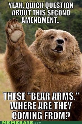 They're Bearly Constitutional