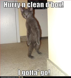 Classic LOLcat