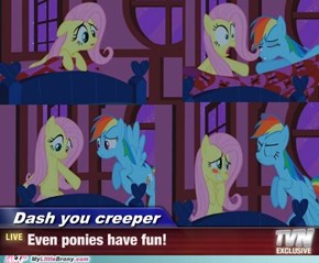 Ponies Just Want To Have Fun
