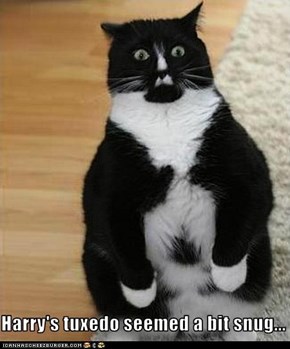 Classic LOLcat