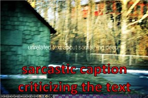 sarcastic caption criticizing the text