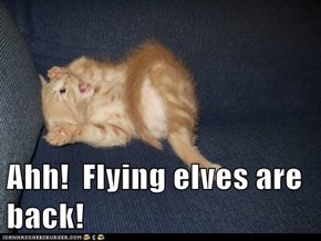 Ahh!  Flying elves are back!