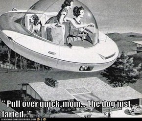 " Pull over quick, mom... The dog just farted..."