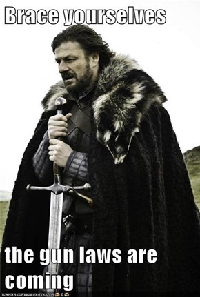 Brace yourselves  the gun laws are coming