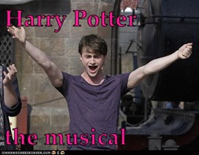 Harry Potter  the musical