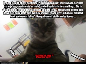 Reports Kontinyoo, Unless Iz Naptime
