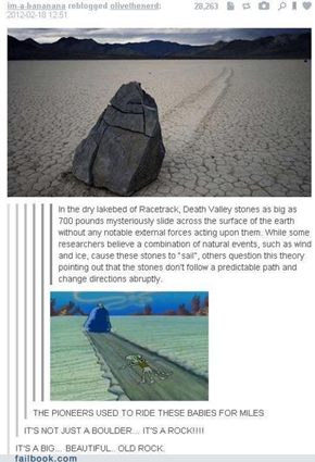 IT WAS THIS ROCK THE WHOLE TIME