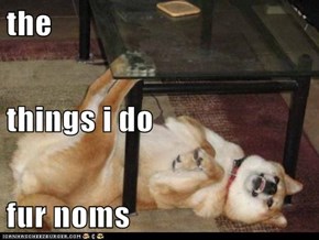 the  things i do fur noms