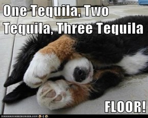 One Tequila, Two Tequila, Three Tequila  FLOOR!