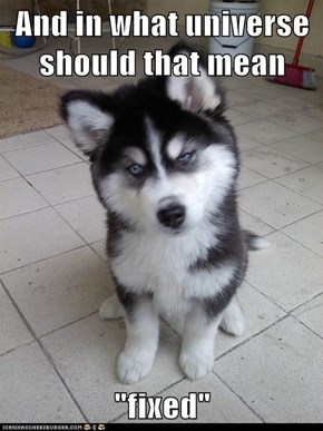 Skeptical Newborn Puppy: Sounds More Like You're Breaking Something