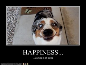 HAPPINESS...