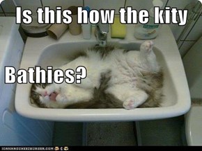Is this how the kity Bathies?