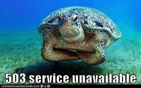 503 service unavailable