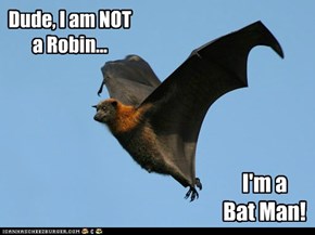 Dude, I am NOT a Robin...