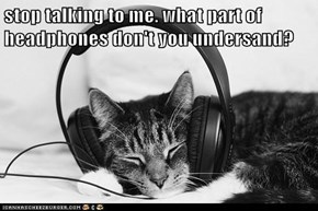 stop talking to me. what part of headphones don't you undersand?