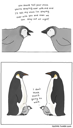 Penguin BFFs